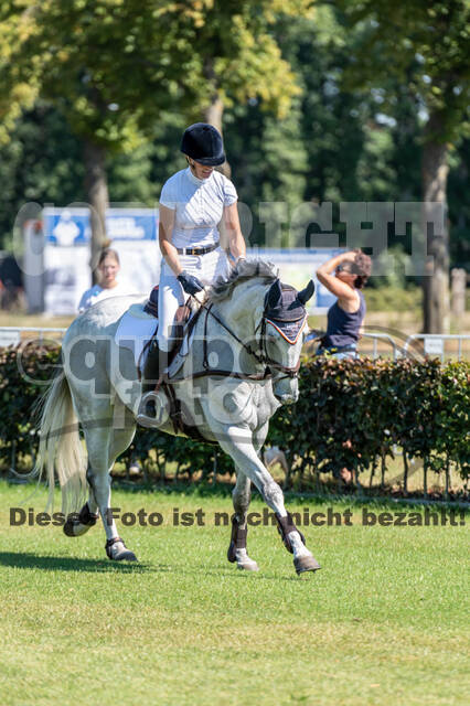 Kronenberg - De Peelbergen (August 2020)