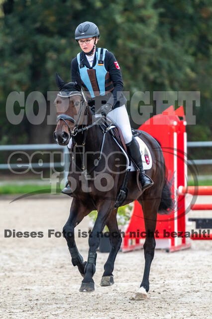 Goldene Schärpe 2020 - Pferde