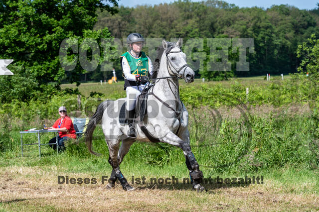 Westerstede Horse Trials (10.-13.06.2021)