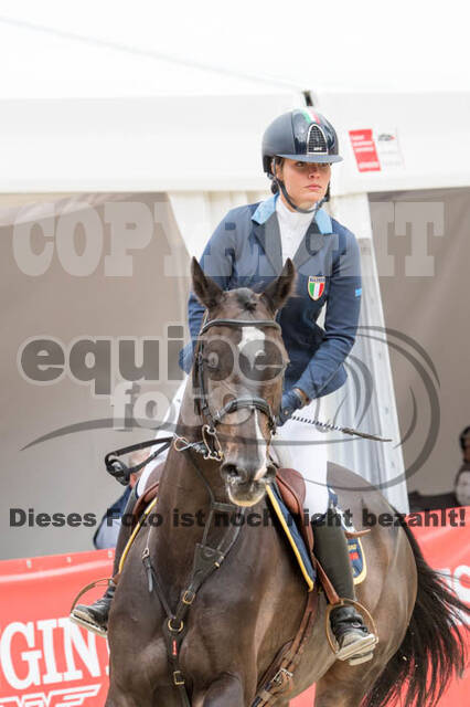 FEI European Championship