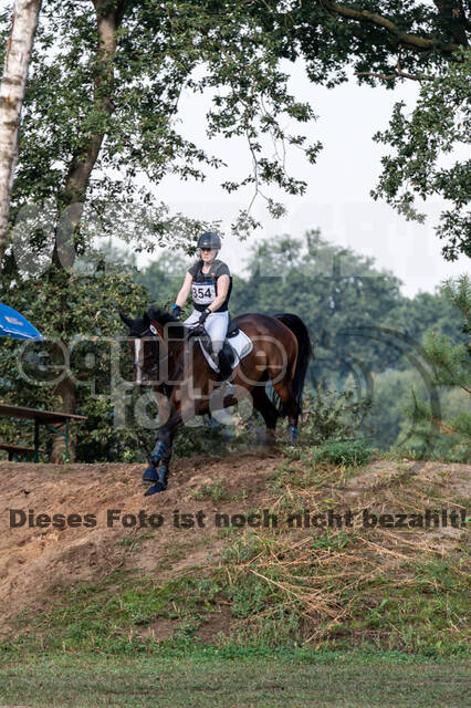 De Peelbergen (August 2020)