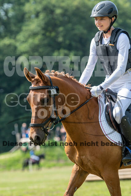 Goldene Schärpe 2021 - Ponys