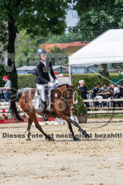 Goldene Schärpe 2021 - Ponys