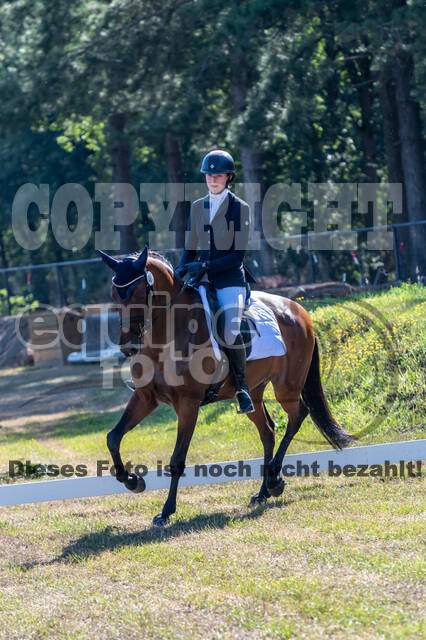 Kronenberg - De Peelbergen (August 2020)