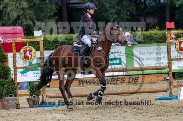 Goldene Schärpe 2021 - Ponys