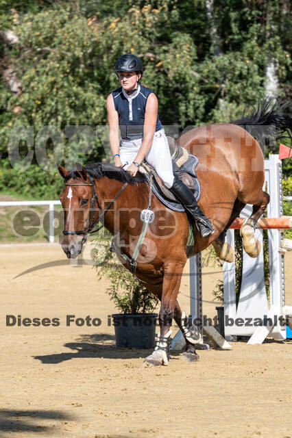 RFV Dinslaken-Hiesfeld (Herbstturnier)