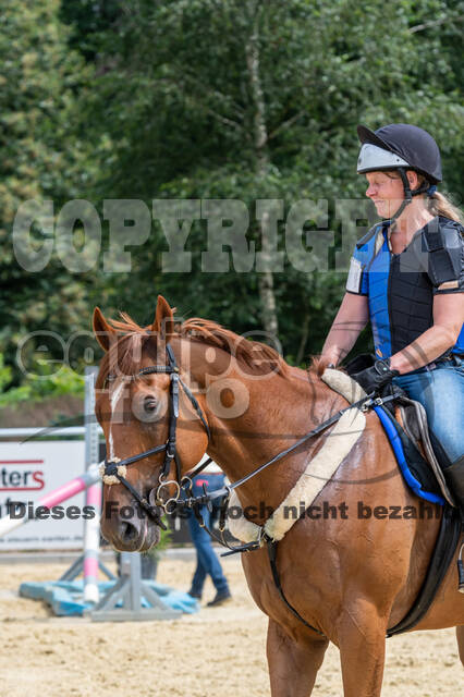 Hunter Geländetraining 10.07.2021 (Sonsbeck)