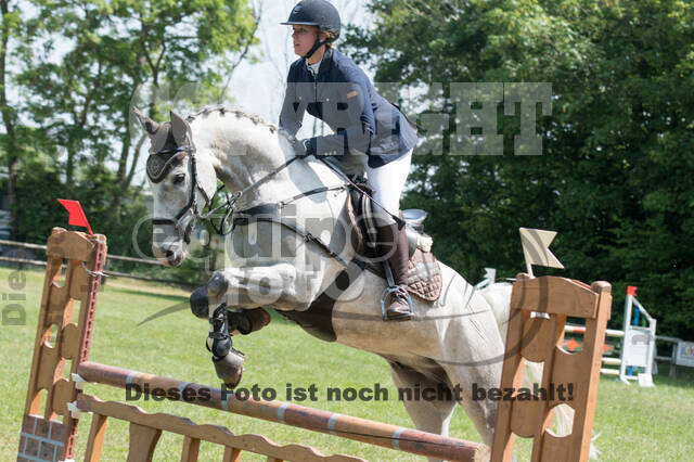 Vielseitigkeitsturnier ZRuFV von Lützow Hamminkeln