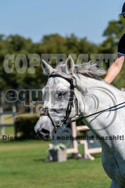 Kronenberg - De Peelbergen (August 2020)