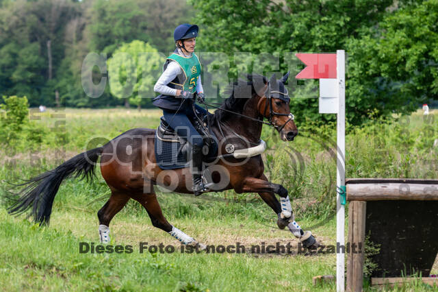 Westerstede Horse Trials (10.-13.06.2021)