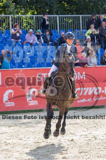 FEI European Championship