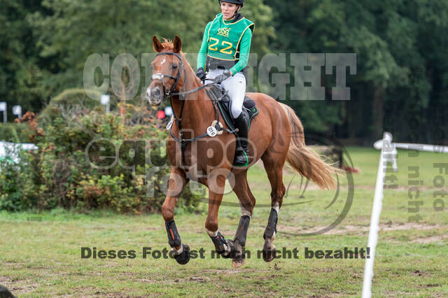 Vielseitigkeit RSV Wesel Obrighoven (26.+27.09.2020)