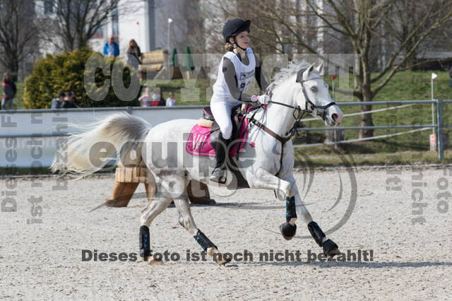 Eventing Langenfeld 2018