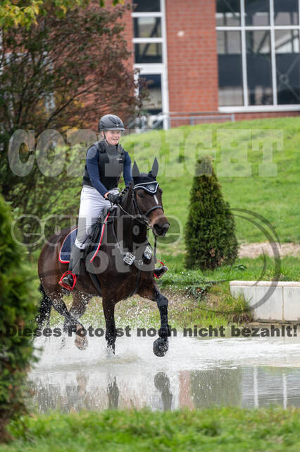 Goldene Schärpe 2020 - Pferde