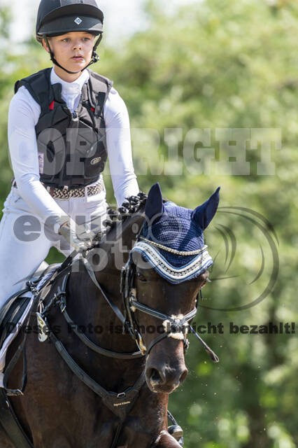 Goldene Schärpe 2021 - Ponys