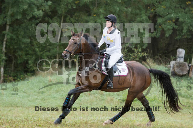 Vielseitigkeitsturnier RSV St. Hubertus Wesel Obrighoven