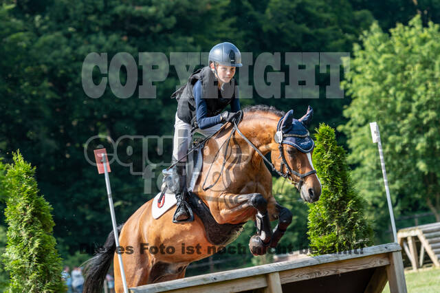 Goldene Schärpe 2021 - Ponys