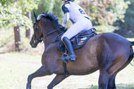 Vielseitigkeitsturnier RSV St. Hubertus Wesel Obrighoven