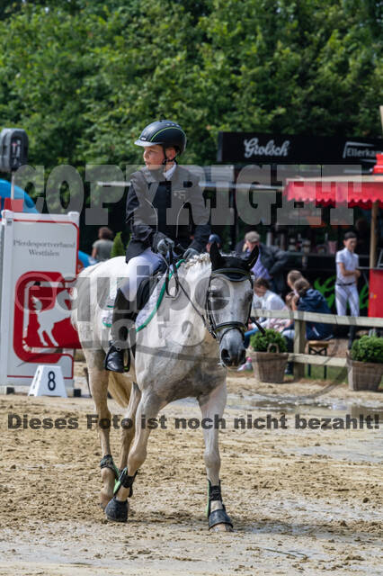 Goldene Schärpe 2021 - Ponys