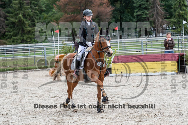 Late-Entry-Vielseitigkeit Langenfeld (06.+07.07.2020)