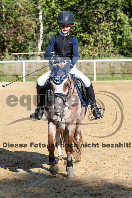 RFV Dinslaken-Hiesfeld (Herbstturnier)