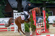 Goldene Schärpe 2021 - Ponys