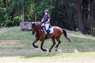Late-Entry Vielseitigkeit Hamminkeln/Wesel (01.+02.08.2020)