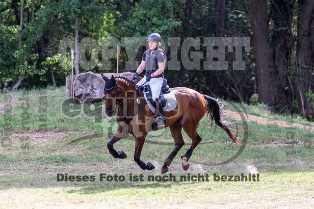 Late-Entry Vielseitigkeit Hamminkeln/Wesel (01.+02.08.2020)