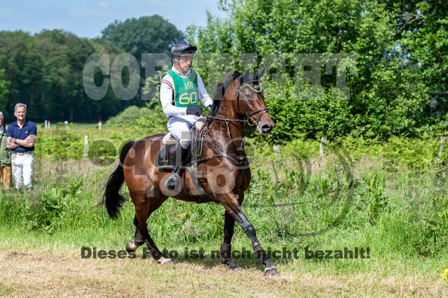 Westerstede Horse Trials (10.-13.06.2021)
