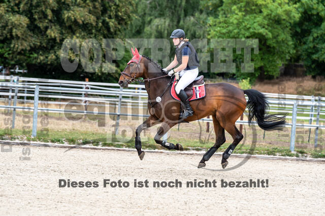 Late-Entry-Vielseitigkeit Langenfeld (11.+13./14.06.2020)