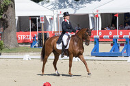 FEI European Championship Eventing 2017