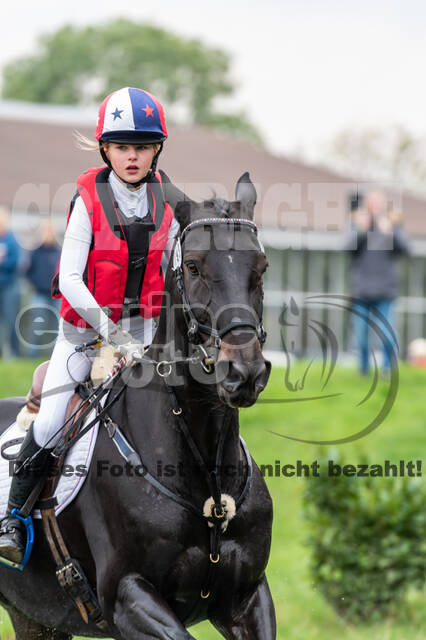 Goldene Schärpe 2020 - Pferde