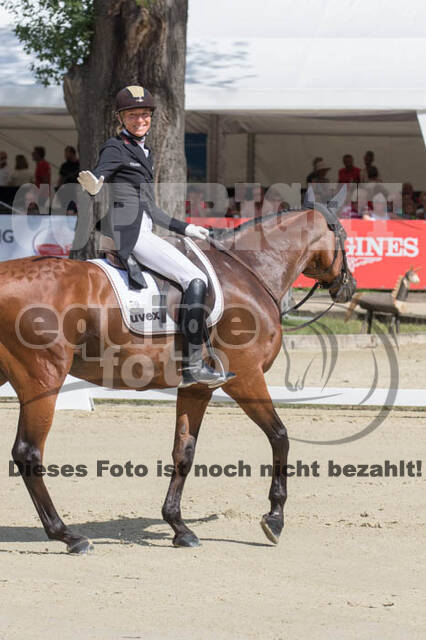 FEI European Championship Eventing 2017