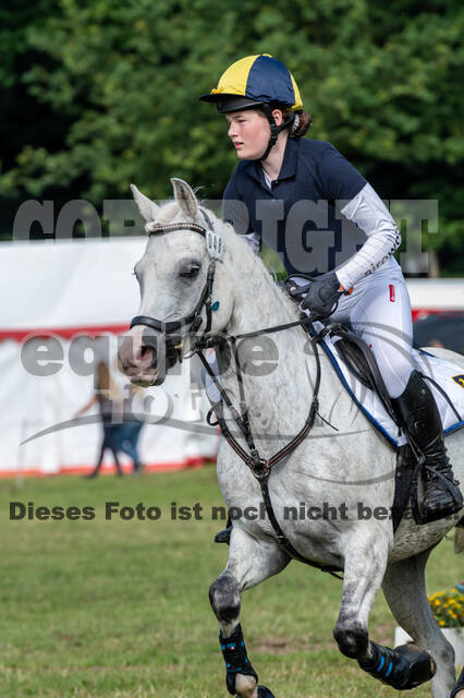 Goldene Schärpe 2021 - Ponys