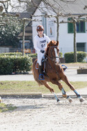 Eventing Langenfeld 2018