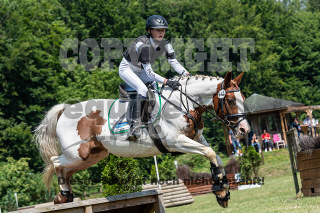 Goldene Schärpe 2021 - Ponys