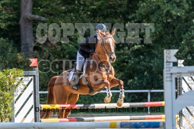 RFV Dinslaken-Hiesfeld (Herbstturnier)