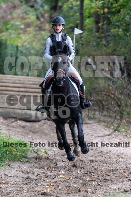 Goldene Schärpe 2020 - Pferde