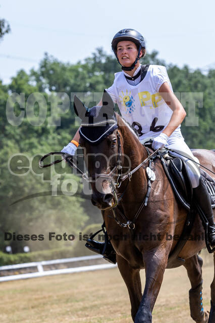 Late-Entry Vielseitigkeit Hamminkeln/Wesel (01.+02.08.2020)