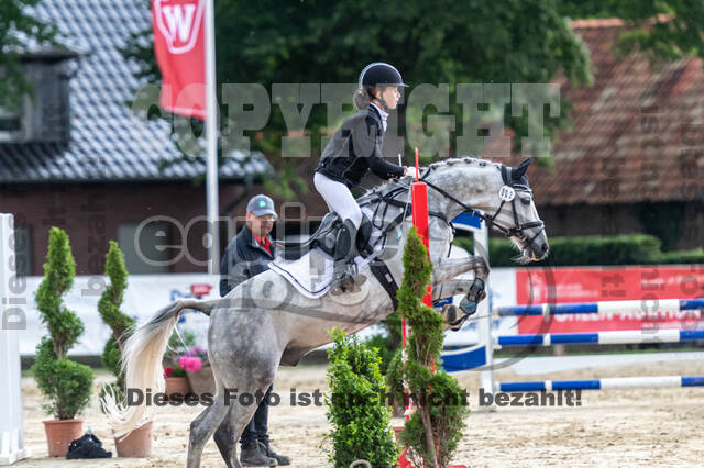 Goldene Schärpe 2021 - Ponys