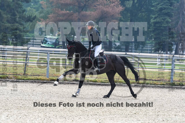 Late-Entry-Vielseitigkeit Langenfeld (11.+13./14.06.2020)
