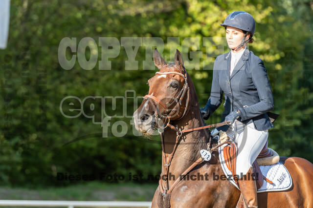 RFV Dinslaken-Hiesfeld (Herbstturnier)