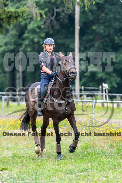 Hunter Geländetraining 10.07.2021 (Sonsbeck)