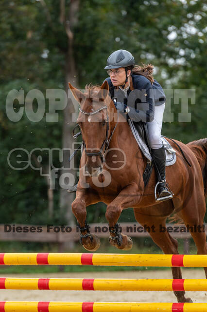 Vielseitigkeit RSV Wesel Obrighoven (26.+27.09.2020)