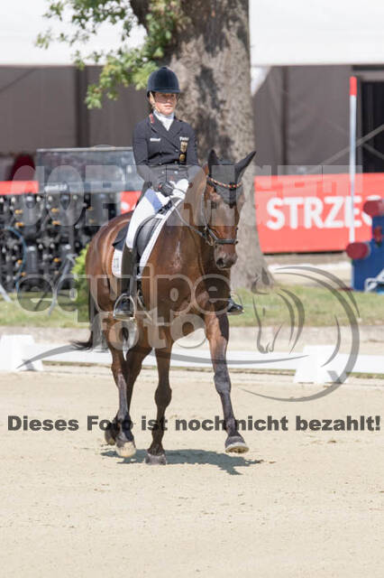 FEI European Championship Eventing 2017