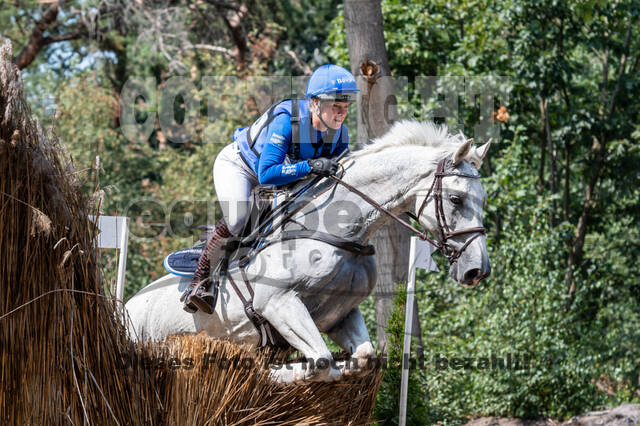 De Peelbergen (August 2020)