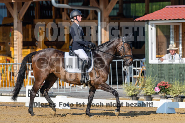 Westerstede Horse Trials 2021