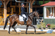 Westerstede Horse Trials 2021