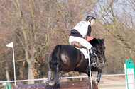 Eventing Langenfeld 2018