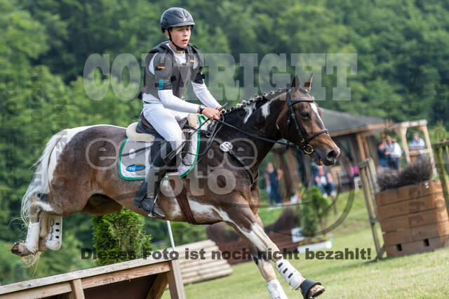 Goldene Schärpe 2021 - Ponys